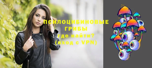 винт Богородицк