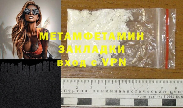 индика Богданович