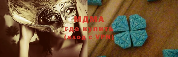 индика Богданович