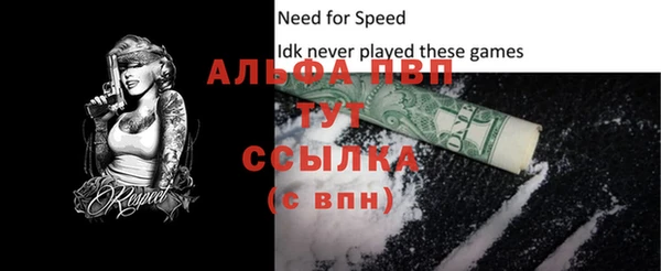 индика Богданович
