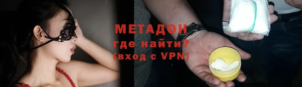 индика Богданович