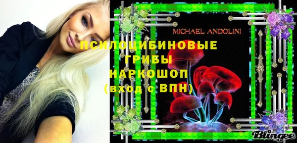 винт Богородицк