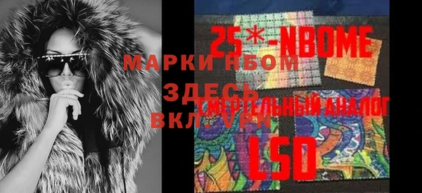 индика Богданович