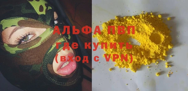 индика Богданович