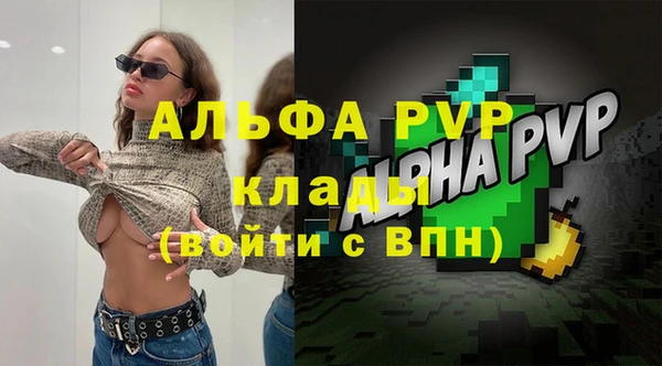 индика Богданович
