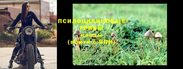 герыч Бугульма